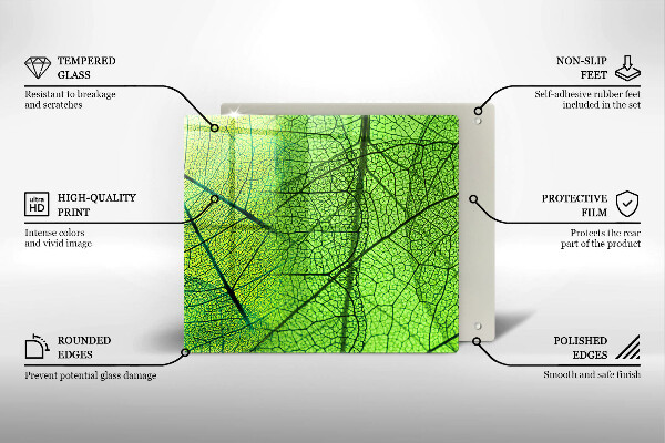 Protection plaque induction Nervures des feuilles naturelles
