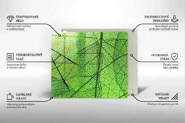 Protection plaque induction Nervures des feuilles naturelles