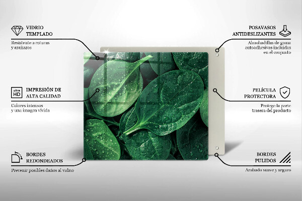 Protection plaque induction Feuilles de basilic