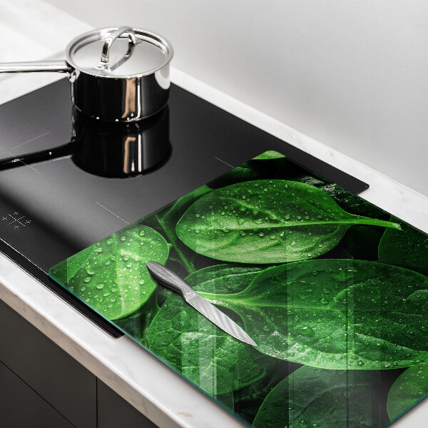 Protection plaque induction Feuilles de basilic