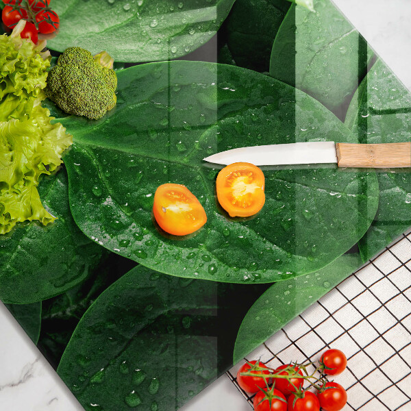 Protection plaque induction Feuilles de basilic