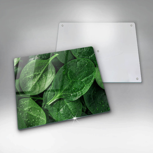 Protection plaque induction Feuilles de basilic