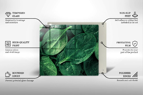 Protection plaque induction Feuilles de basilic