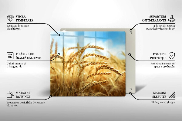 Protection plaque induction Épis de céréales dans le champ