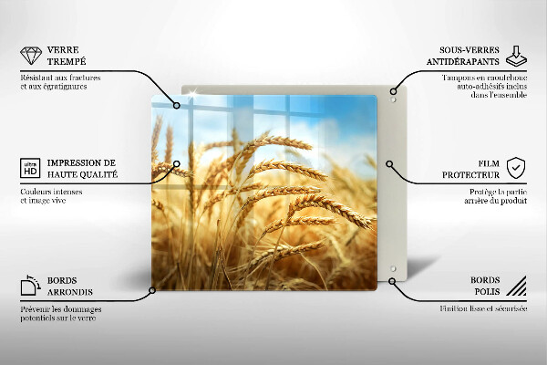 Protection plaque induction Épis de céréales dans le champ