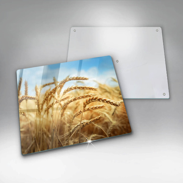 Protection plaque induction Épis de céréales dans le champ