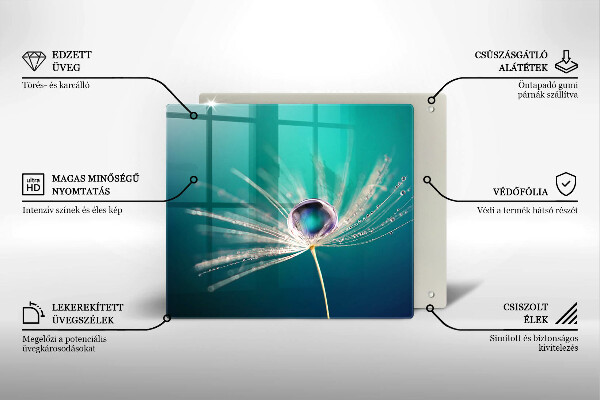 Protection plaque induction Rosée sur un pissenlit