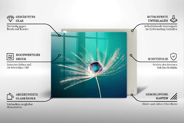 Protection plaque induction Rosée sur un pissenlit