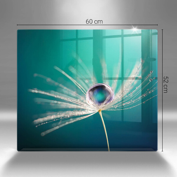 Protection plaque induction Rosée sur un pissenlit