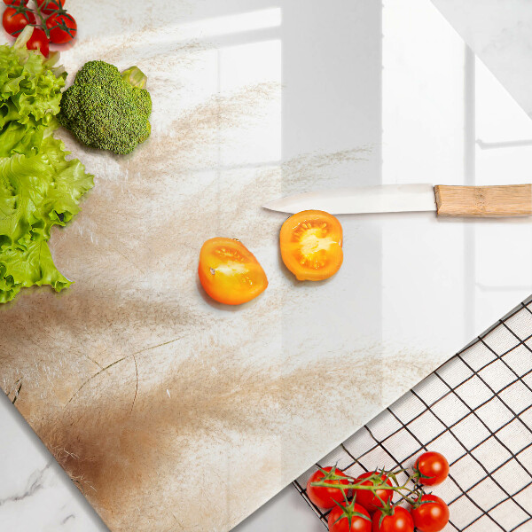 Protection plaque induction Herbe de la pampa