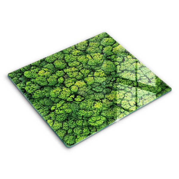 Protection plaque induction Plante de mousse naturelle