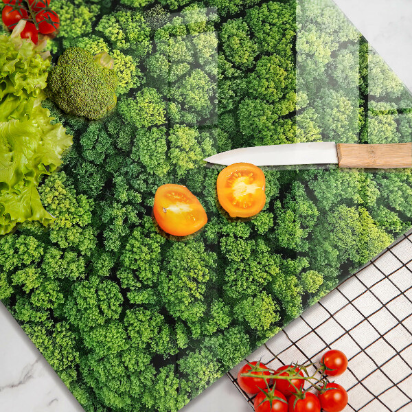 Protection plaque induction Plante de mousse naturelle