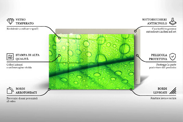 Protège plaque de cuisson Gros plan d'une feuille-plan al unei frunze