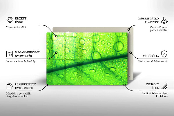 Protège plaque de cuisson Gros plan d'une feuille-plan al unei frunze