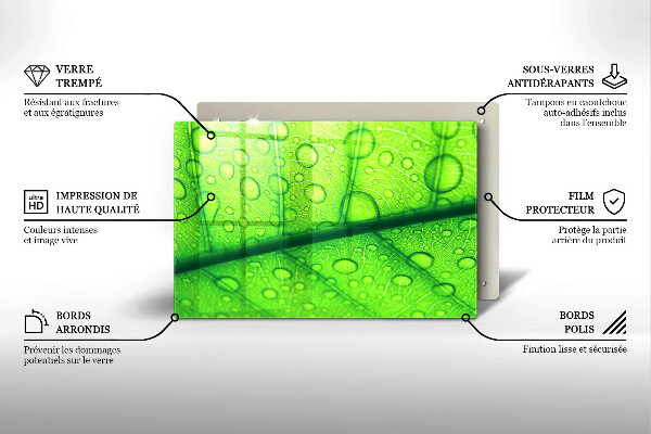 Protège plaque de cuisson Gros plan d'une feuille-plan al unei frunze