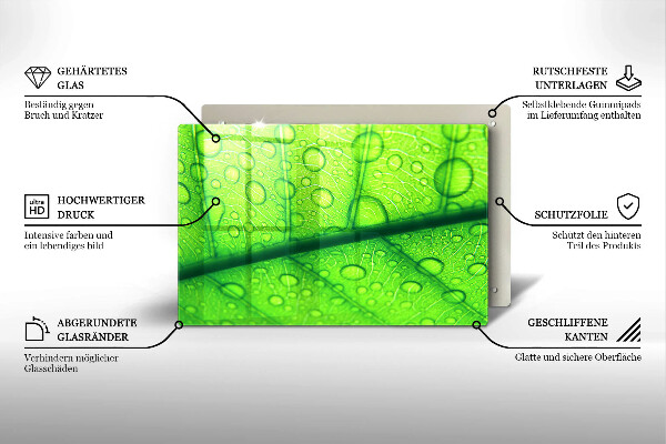 Protège plaque de cuisson Gros plan d'une feuille-plan al unei frunze
