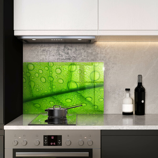 Protège plaque de cuisson Gros plan d'une feuille-plan al unei frunze