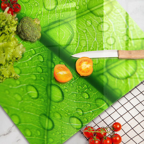 Protège plaque de cuisson Gros plan d'une feuille-plan al unei frunze