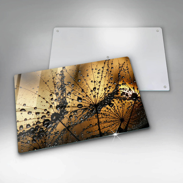 Protection plaque induction Rosée et pissenlits