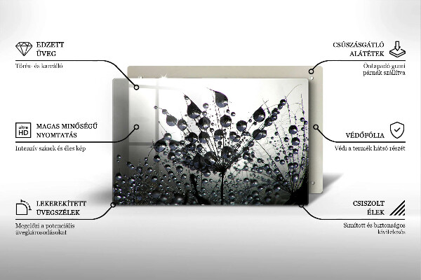 Protection plaque induction Pissenlits et rosée