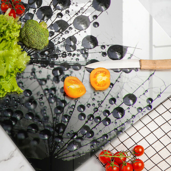 Protection plaque induction Pissenlits et rosée