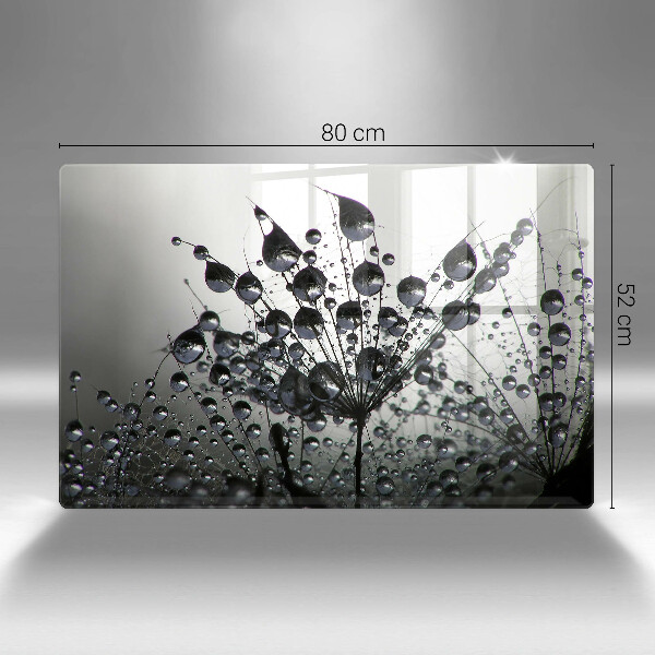 Protection plaque induction Pissenlits et rosée