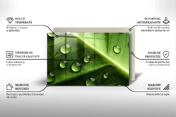 Protection plaque induction Nature rosée et feuille