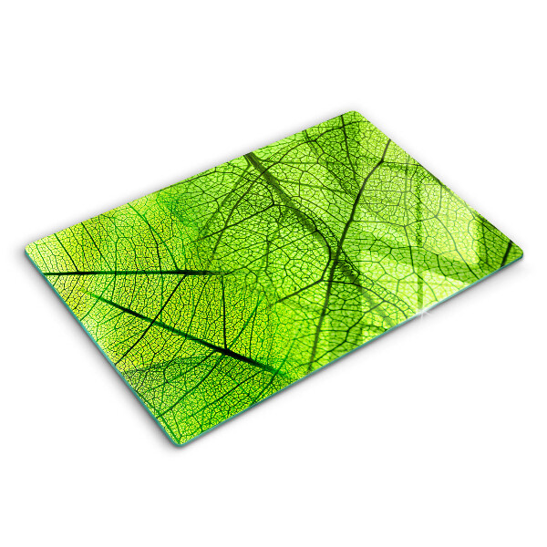 Protection plaque induction Nervures des feuilles naturelles