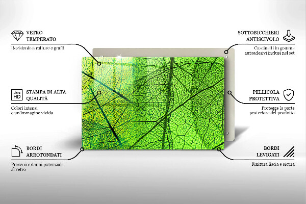 Protection plaque induction Nervures des feuilles naturelles