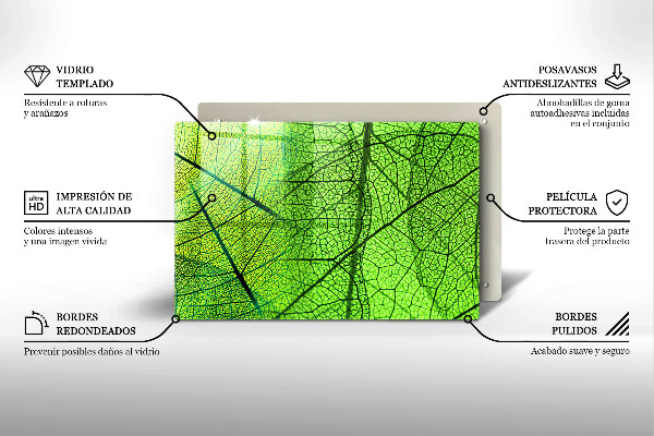Protection plaque induction Nervures des feuilles naturelles