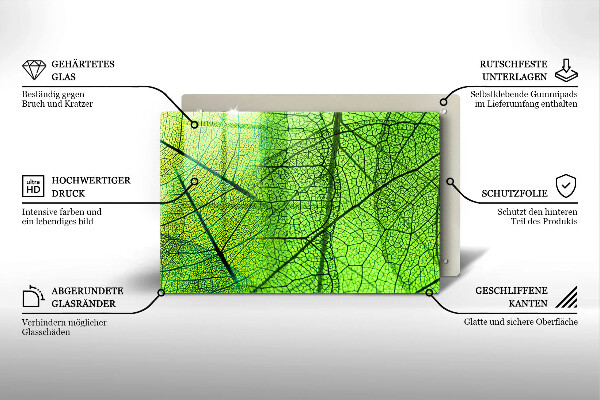Protection plaque induction Nervures des feuilles naturelles