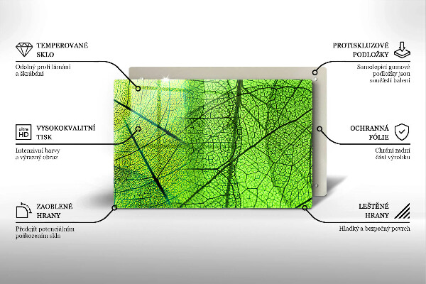 Protection plaque induction Nervures des feuilles naturelles