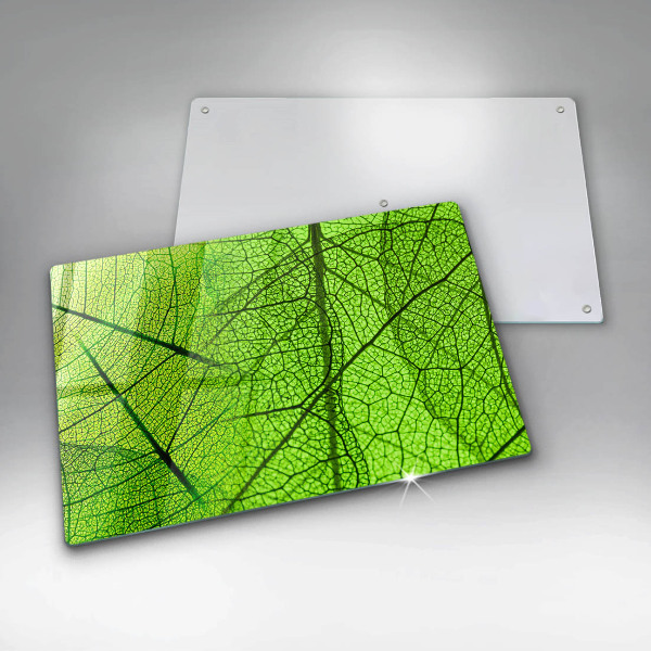 Protection plaque induction Nervures des feuilles naturelles