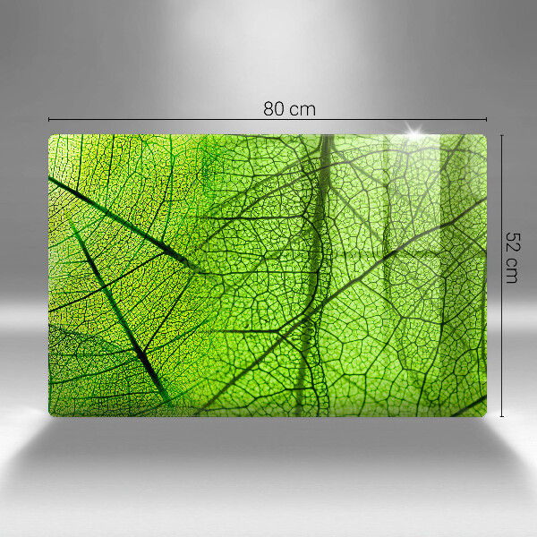 Protection plaque induction Nervures des feuilles naturelles