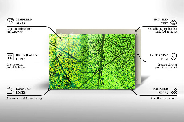 Protection plaque induction Nervures des feuilles naturelles