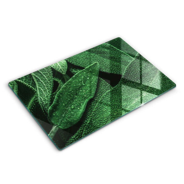 Protection plaque induction Les feuilles de la plante