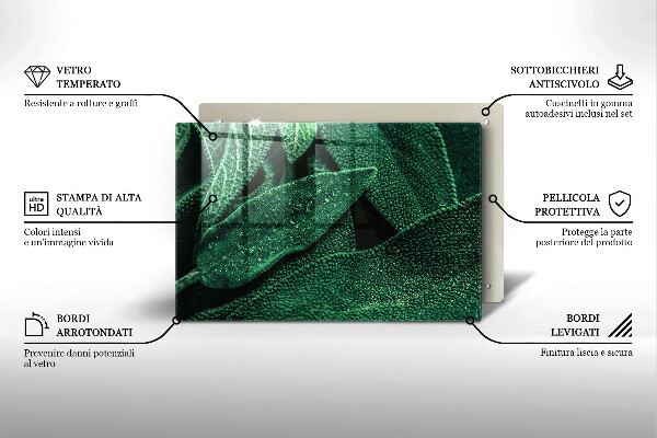 Protection plaque induction Les feuilles de la plante