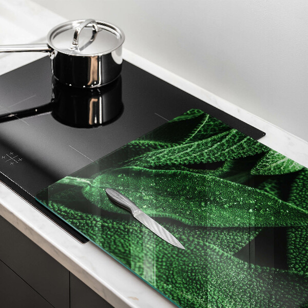 Protection plaque induction Les feuilles de la plante