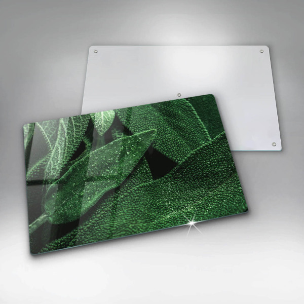Protection plaque induction Les feuilles de la plante