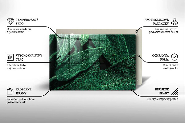 Protection plaque induction Les feuilles de la plante