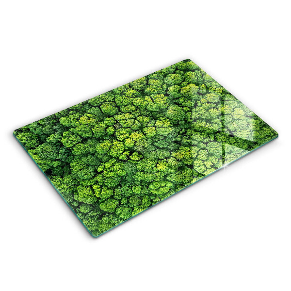 Protection plaque induction Plante de mousse naturelle