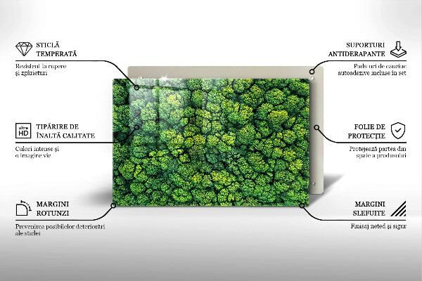 Protection plaque induction Plante de mousse naturelle