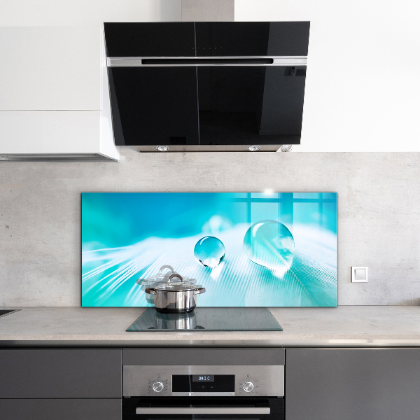 Panneau pour cuisine Rosée sur plume délicate