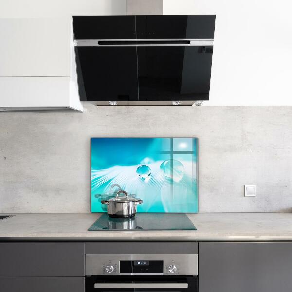 Panneau pour cuisine Rosée sur plume délicate