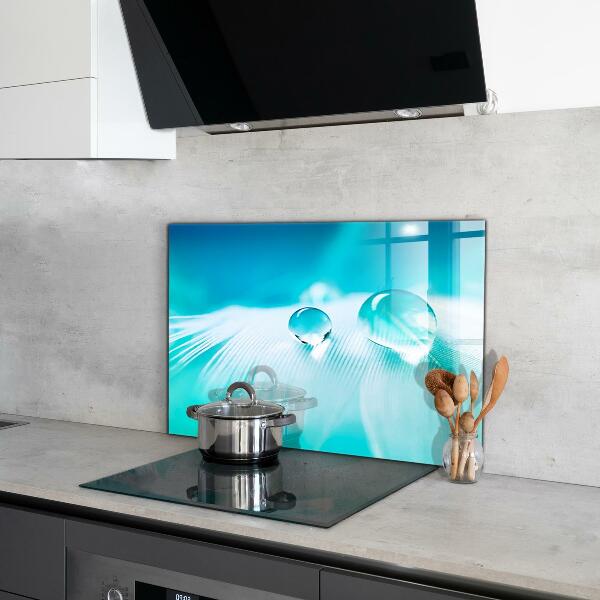 Panneau pour cuisine Rosée sur plume délicate