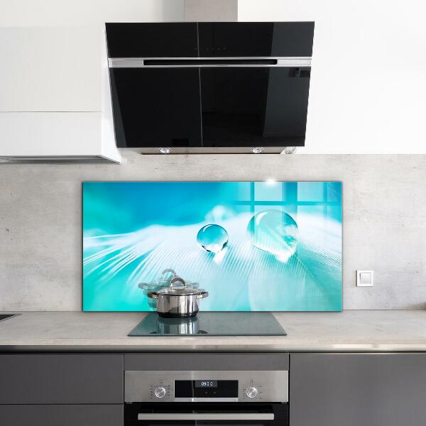 Panneau pour cuisine Rosée sur plume délicate