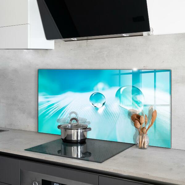 Panneau pour cuisine Rosée sur plume délicate