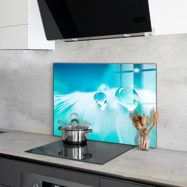 Panneau pour cuisine Rosée sur plume délicate