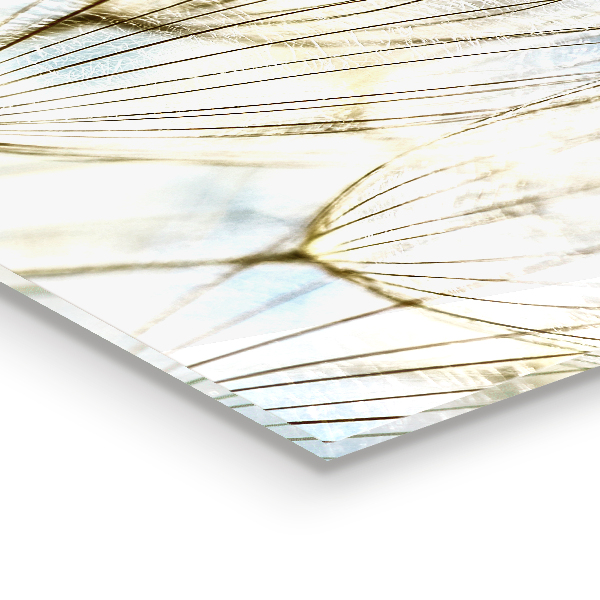 Crédence cuisine en verre Pissenlit pissenlit dans le vent