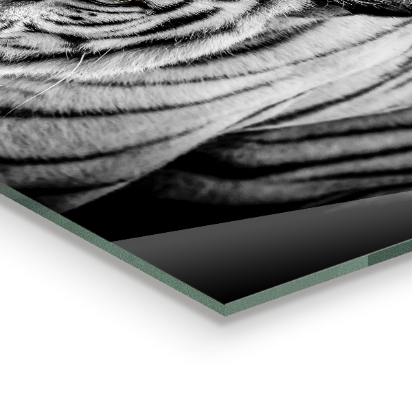 Crédence cuisine en verre Tigre blanc de sibérie